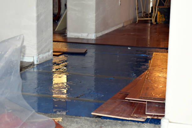Professional Flood Damage Repair technician working in Jacksonville, IL